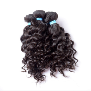 Brazilian Burmese Curly